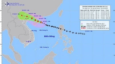طوفان Matmo Quang Ninh سے 12، 420 کلومیٹر کی سطح پر ہے۔