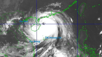 Storm nr. 11 komt binnenkort de Golf van Tonkin binnen, wat waarschuwt voor wijdverspreide zware regenval