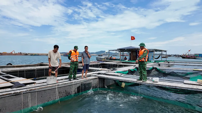 ខេត្ត Quang Ninh៖ ព្យុះ​លេខ ១១ ខិត​ចូល​មក​ដល់ តំបន់​ពិសេស Co To ឆ្លើយតប​ជា​បន្ទាន់