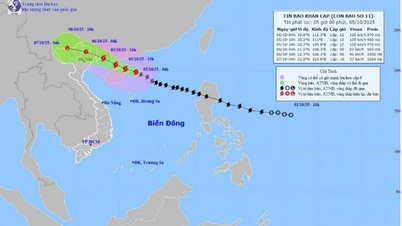 La tempête n°11 avec des rafales de niveau 15 affectera directement les régions du Nord et du Centre-Nord à partir de ce soir.