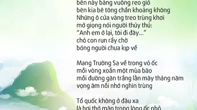 트룽 사