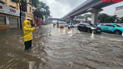On October 6, Hanoi gave students a day off to cope with storm No. 11.