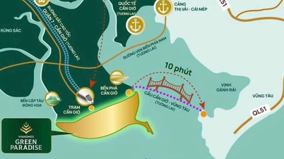 Vingroup stelt voor een zeeweg aan te leggen die Can Gio met Vung Tau verbindt