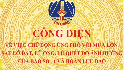 Công điện về việc chủ động ứng phó với mưa lớn, sạt lở đất, lũ ống, lũ quét do ảnh hưởng của bão số 11 và hoàn lưu bão