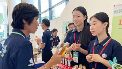 Gröna startups bidrar till att lyfta vietnamesiska varumärken