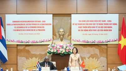 Participation of the private sector in building and developing the socialist economy