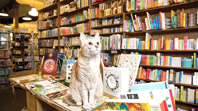 The trend of personalizing the experience at independent bookstores