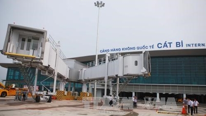 Prakiraan cuaca mengatakan bandara Van Don dan Cat Bi akan terkena dampak langsung oleh badai No. 11.