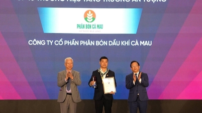 أفضل 10 علامات تجارية ذات نمو مذهل في عام 2025: اختراق شركة PVCFC في مجال التصدير يؤكد مكانتها الرائدة