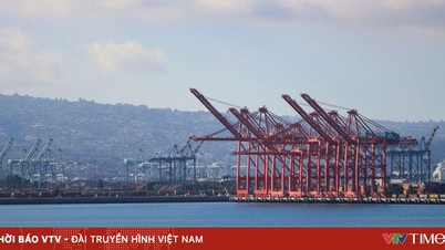 米国、インドネシアへの新たな輸入警告を発令