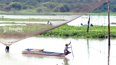 អួន​នេសាទ​នៅ​រដូវ​ទឹក​ជំនន់