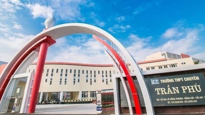 Schools in Hai Phong proactively plan for students to stay home to avoid storm No. 11