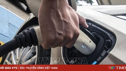 Korejští výrobci automobilů a baterií upravují obchodní strategie v USA