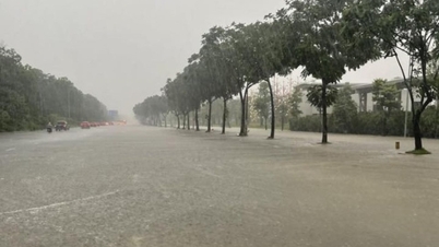 Thời tiết hôm nay (6-10): Bão số 11 gây mưa lớn ở Bắc Bộ