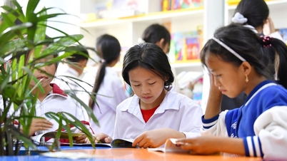 Thư viện công cộng đẩy mạnh chuyển đổi số: Kết nối tri thức, phục vụ học tập suốt đời