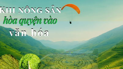 នៅពេលដែលផលិតផលកសិកម្មបញ្ចូលគ្នាទៅក្នុងវប្បធម៌