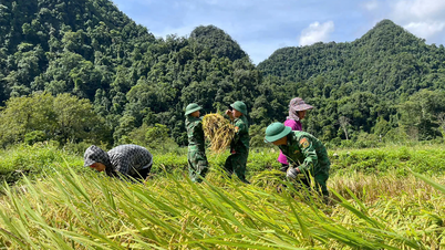 カ・シェン国境警備隊基地がルク族の稲作を支援