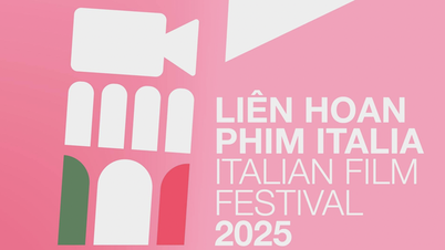Tổ chức Liên hoan Phim Italia 2025