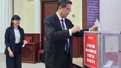 Đại học Huế phát động ủng hộ đồng bào bị ảnh hưởng do bão số 10