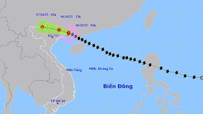 嵐11号がベトナムと中国の国境に侵入、北部で大雨