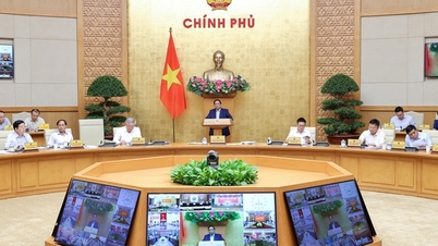 Vorschlag, den 24. November zum Tag der vietnamesischen Kultur zu machen