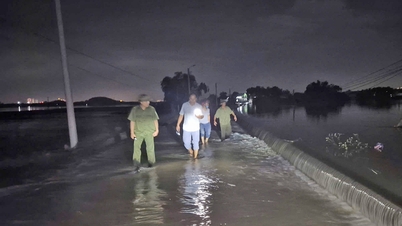 Strengthening leadership and direction in response to Storm No. 11 (MATMO)