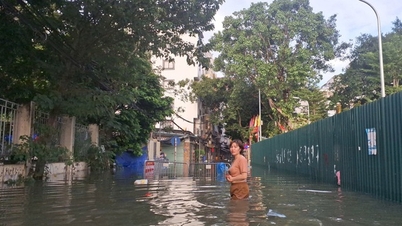 A Hanoi Oktatási és Képzési Minisztériuma sürgősen tájékoztatja az iskolákat, hogy proaktívan reagáljanak a Matmo viharra.