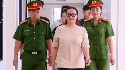 Ministerie van Openbare Veiligheid informeert over 'hot' kwesties met betrekking tot Hoang Huong en 'Shark Binh'