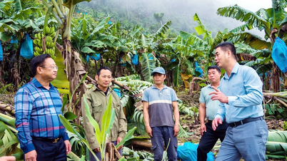 Mường Khương tập trung cao độ ứng phó bão số 11
