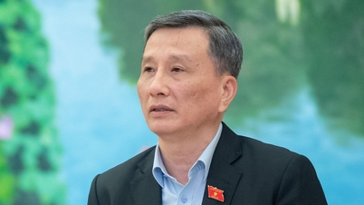 El Sr. Le Quang Huy dejó de ser miembro del XIII Comité Central del Partido.