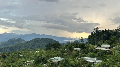 Da Nang launches 90-day campaign to complete land database