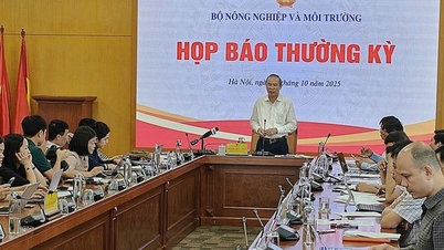 Nhiều cơ hội giúp phá kỷ lục xuất khẩu nông, lâm, thủy sản