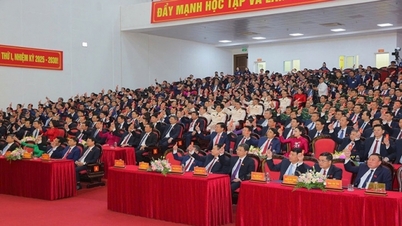 Ninh Binh strives to become a centrally-governed city by 2030