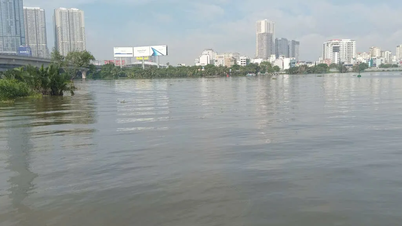 ផែនការឆ្លើយតបសកម្មសម្រាប់ជំនោរខ្ពស់។