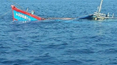 Binh Dinh fishing boat with 11 fishermen on board was sunk by a strange ship, the captain is missing.