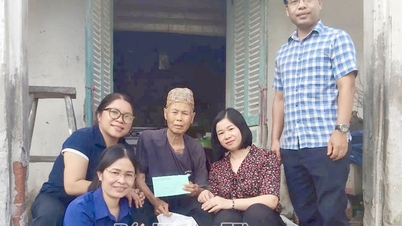 Sel Parti Jawatankuasa Pemeriksaan Jawatankuasa Parti Komune Tan Thuan menaja seorang wanita tua yang kesepian.