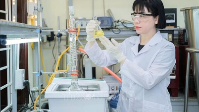 若い世代に科学への情熱の火を灯す人