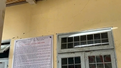 Xảy ra 19 trận động đất ở Quãng Ngãi trong 2 ngày