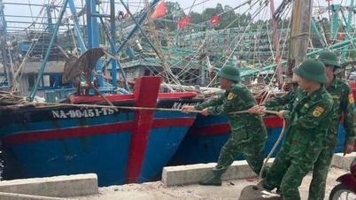 All ships and means of transport are prohibited from going to sea from 10:00 on October 5, 2025.