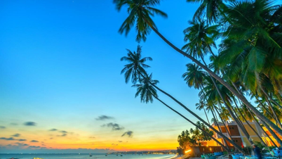 Wohin kann man bei einer 2-tägigen Phan Thiet-Tour mit 1 Übernachtung gehen? Sehenswürdigkeiten, die man gesehen haben muss