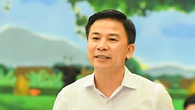Remove all Party positions from Mr. Do Trong Hung
