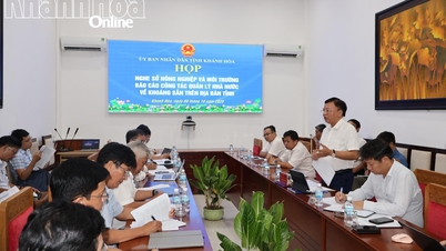 ការពង្រឹងការគ្រប់គ្រងរដ្ឋនៃសារធាតុរ៉ែក្នុងសម័យកាលថ្មី។