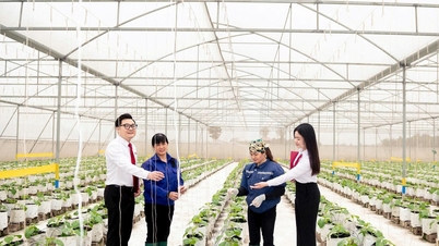 2021~2025년 Agribank 부실채권 정리 관련 구조조정 1부: 기회와 과제