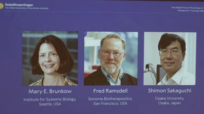 The 2025 Nobel Prize in Medicine honors inventions that could cure cancer