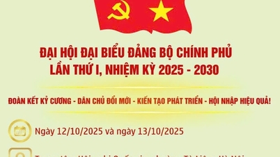 [Infographic] Đại hội đại biểu Đảng bộ Chính phủ lần thứ I, nhiệm kỳ 2025- 2030