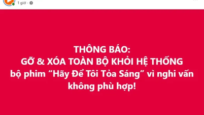 베트남 진출 외국영화, 안전 필터 필요