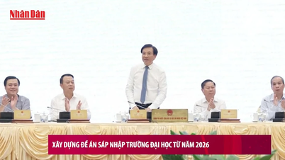 [Video] Xây dựng đề án sáp nhập trường đại học từ năm 2026