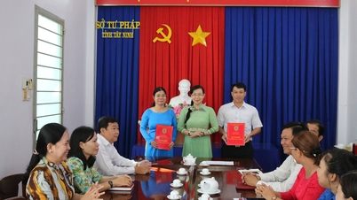 Das Justizministerium von Tay Ninh organisierte die Bekanntgabe der Entscheidung zur Besetzung von Stellen in Fachabteilungen des Ministeriums.