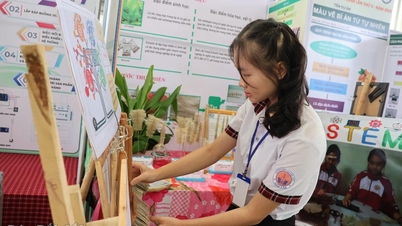 Thành lập 53 cụm chuyên môn các cơ sở giáo dục phổ thông