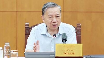 General Secretary: "Each commune has 5-6 agricultural extension officers, no increase in total staff"